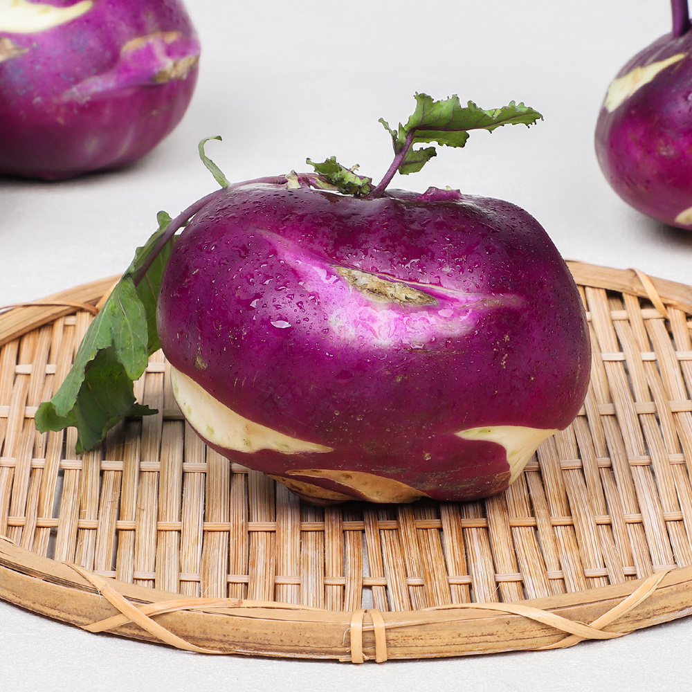 제주 정품 콜라비  5kg