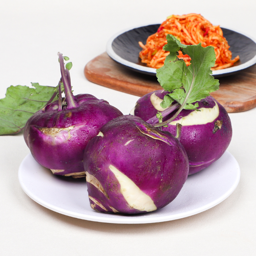 제주 정품 콜라비  5kg