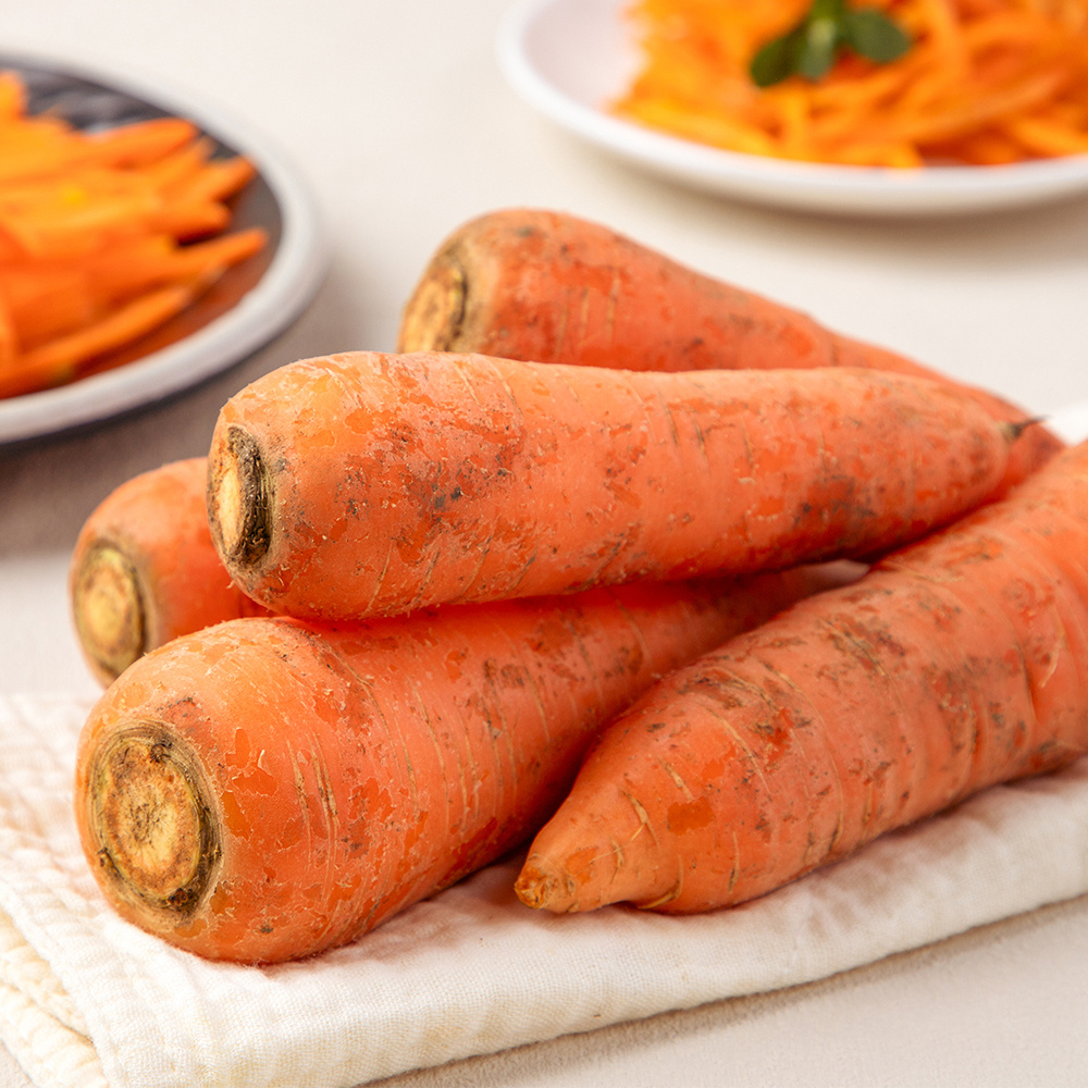 제주 화산토 구좌당근 상사이즈 5kg