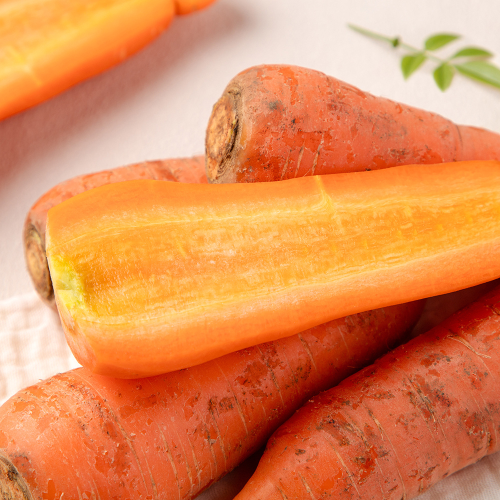 제주 화산토 구좌당근 상사이즈 5kg