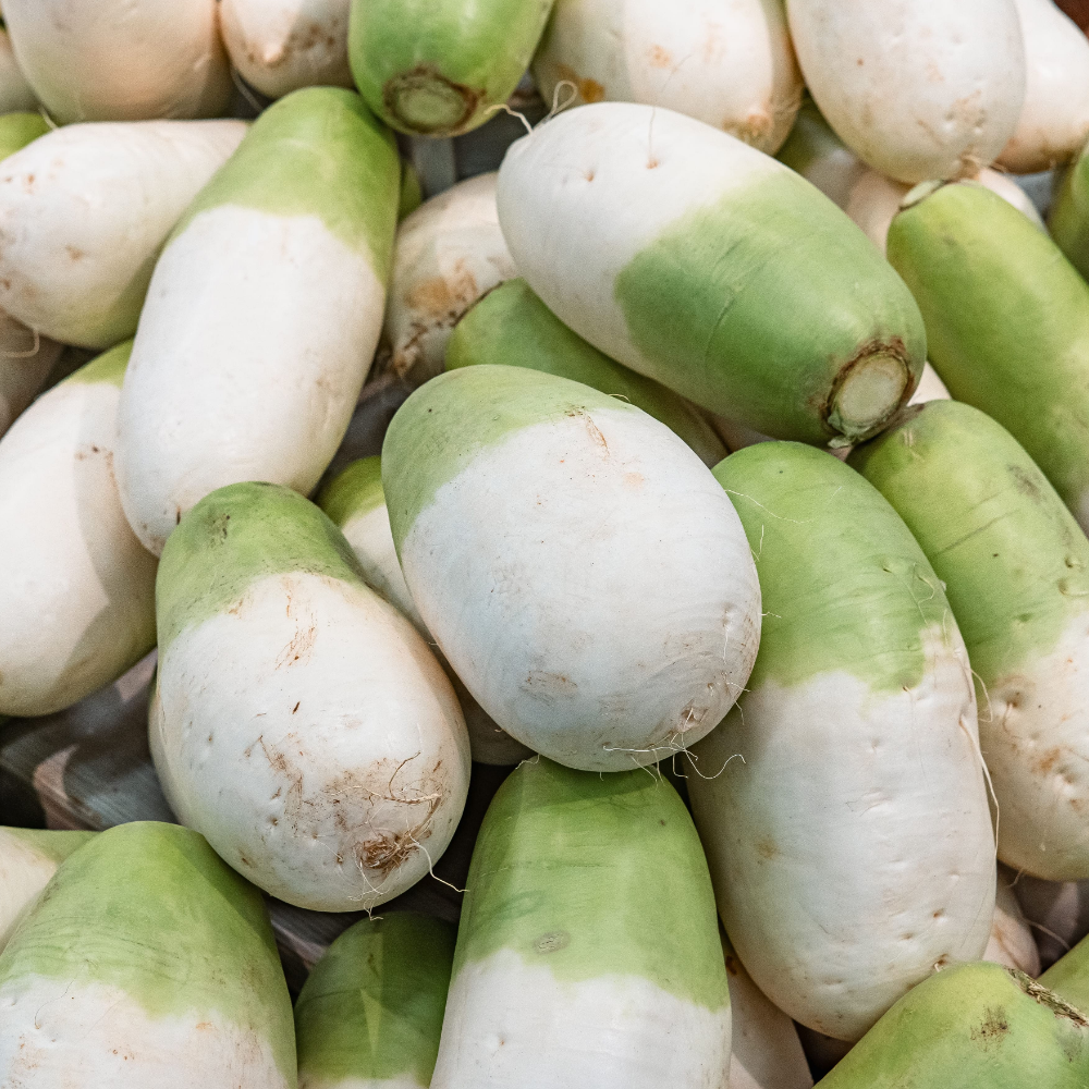 [초특가] 제주 세척 월동무 3kg,5kg,10kg