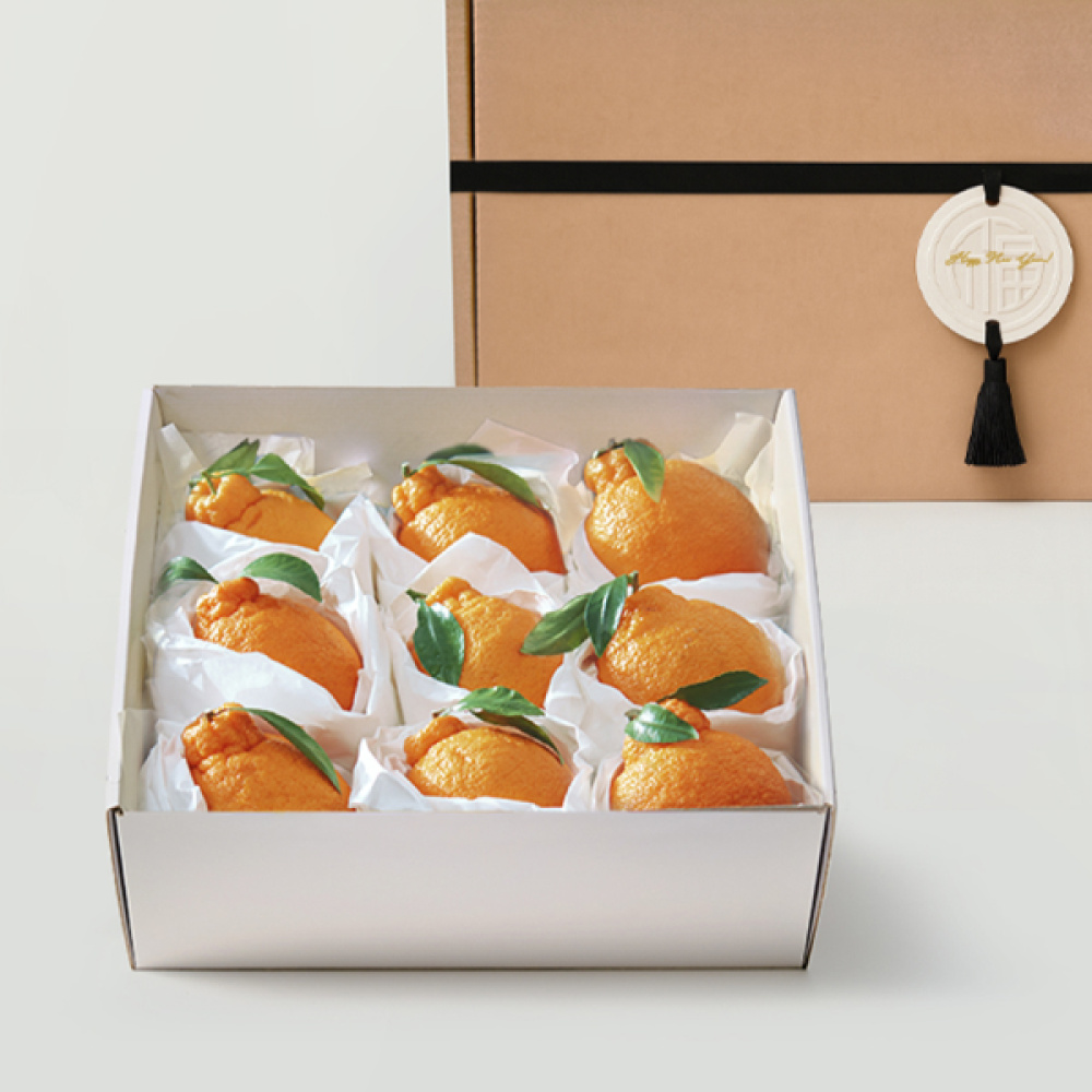 [프리미엄]한라봉 선물세트 감사한 선물 (한라봉 중대과 3kg)