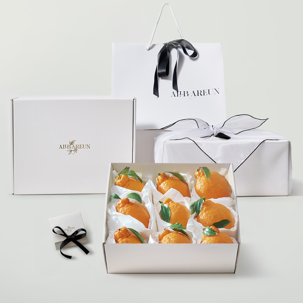 [프리미엄]한라봉 선물세트 각별한 선물 (한라봉 특대과 3kg + 보자기포장)