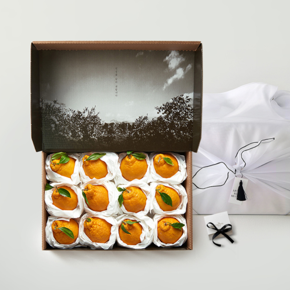 [프리미엄]한라봉 선물세트 특별한 선물 (한라봉 특대과 5kg + 보자기 포장)