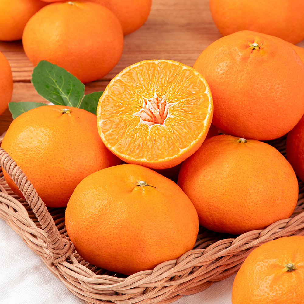 [선물세트] 명절 명품 고당도 15brix 레드향 4.5kg