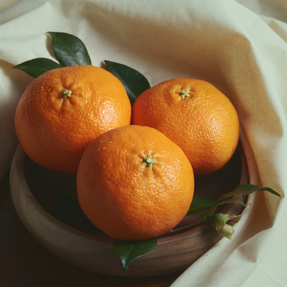 [프리미엄]레드향 선물세트 감사한 선물 (레드향 로열과 3kg)