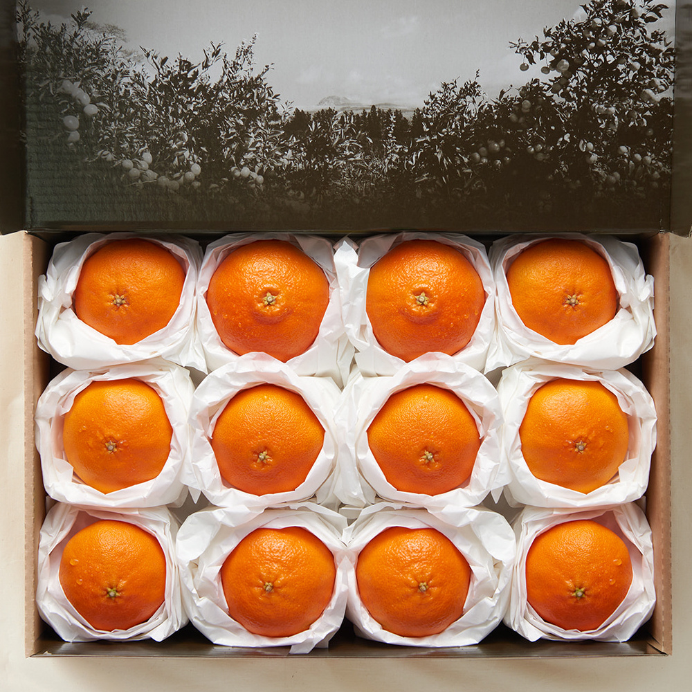 [프리미엄]레드향 선물세트 특별한 선물 (레드향 로열과 5kg + 보자기 포장)