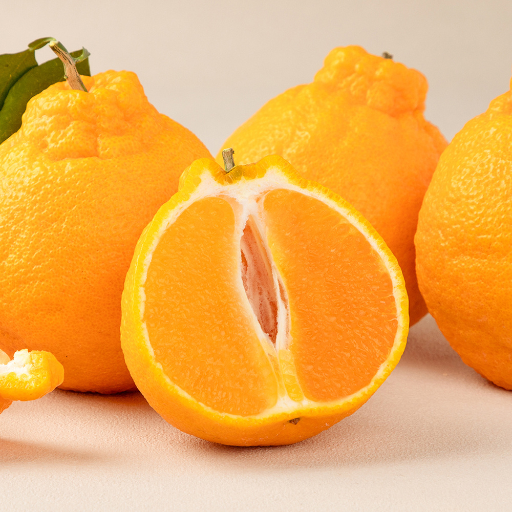 [선물세트] 명절 명품 고당도 15brix 한라봉 1.5kg