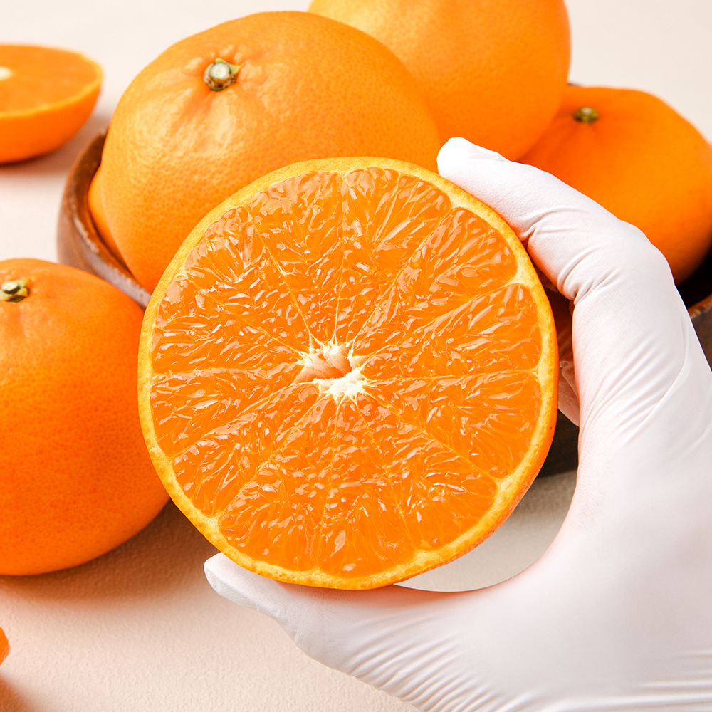 [초고당도]프리미엄 제주 천혜향 15brix 제주직송 중소과 2kg,3kg,5kg