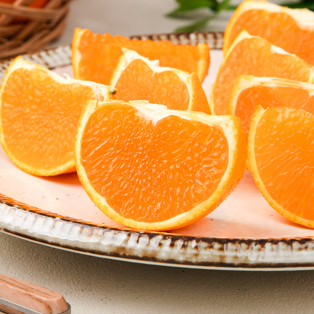 [초고당도]프리미엄 제주 천혜향 15brix 제주직송 중소과 2kg,3kg,5kg