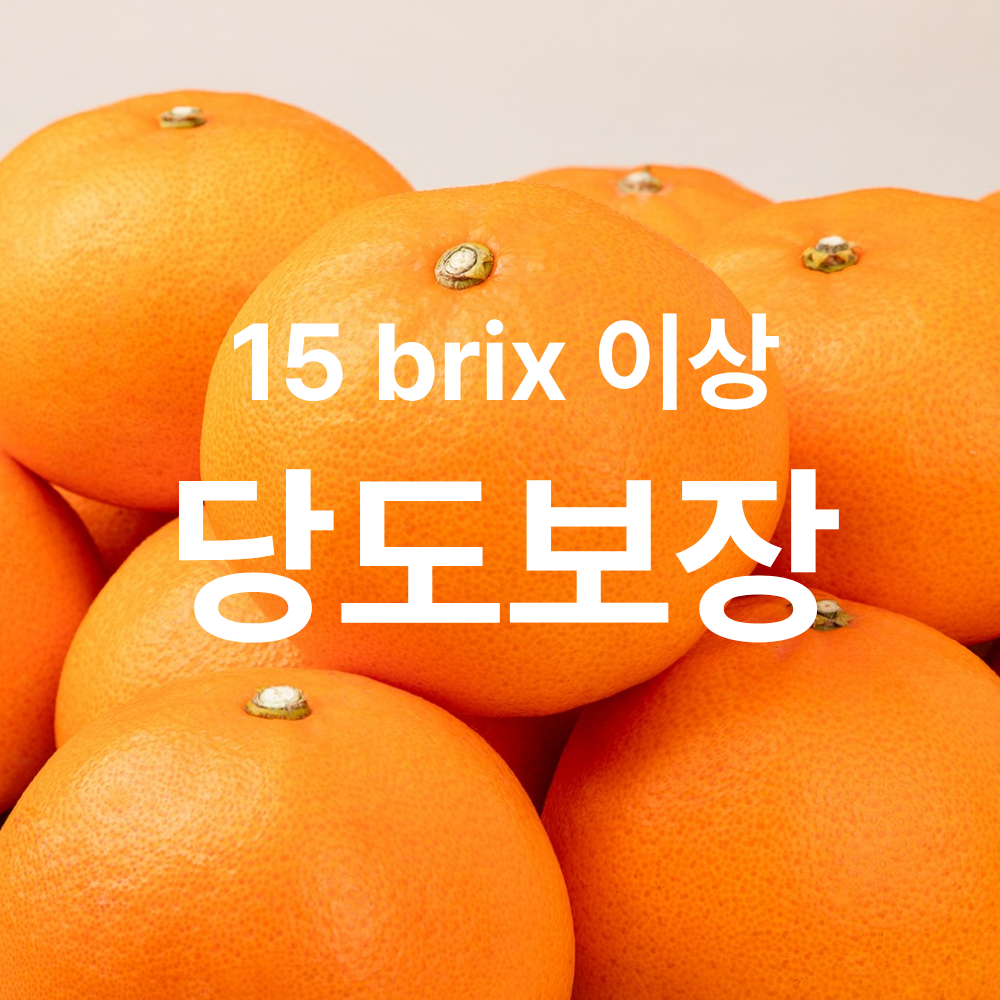 [초고당도]프리미엄 제주 천혜향 15brix 제주직송 중과 2kg,3kg,5kg