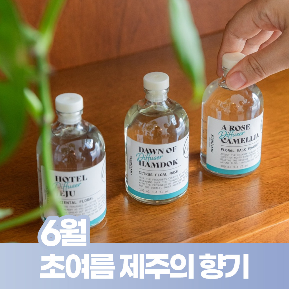 6월초여름제주의향기 [오아오아] 센트오아 - 디퓨저 4종