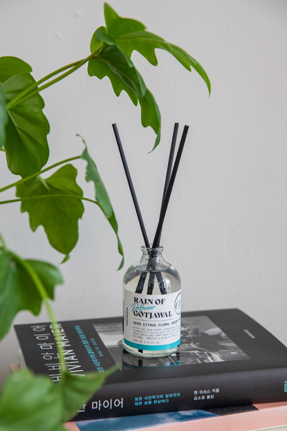 센트오아 - 디퓨저 4종