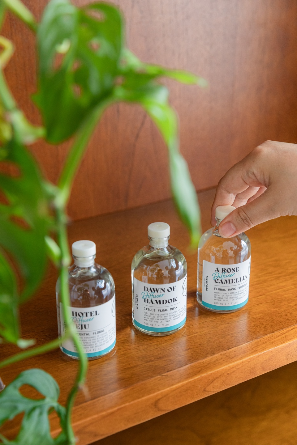 센트오아 - 디퓨저 4종