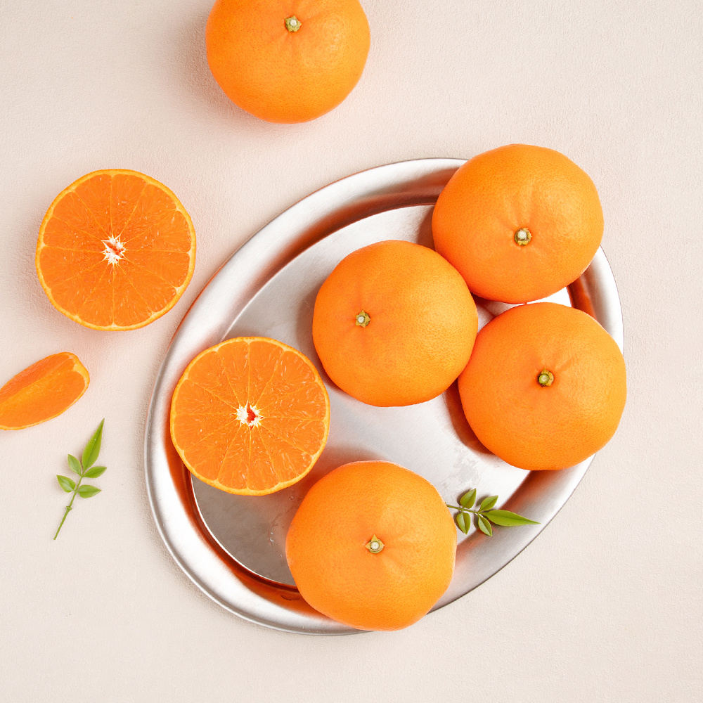 [초고당도]프리미엄 제주 천혜향 15brix 제주직송 대과 2kg,3kg,5kg