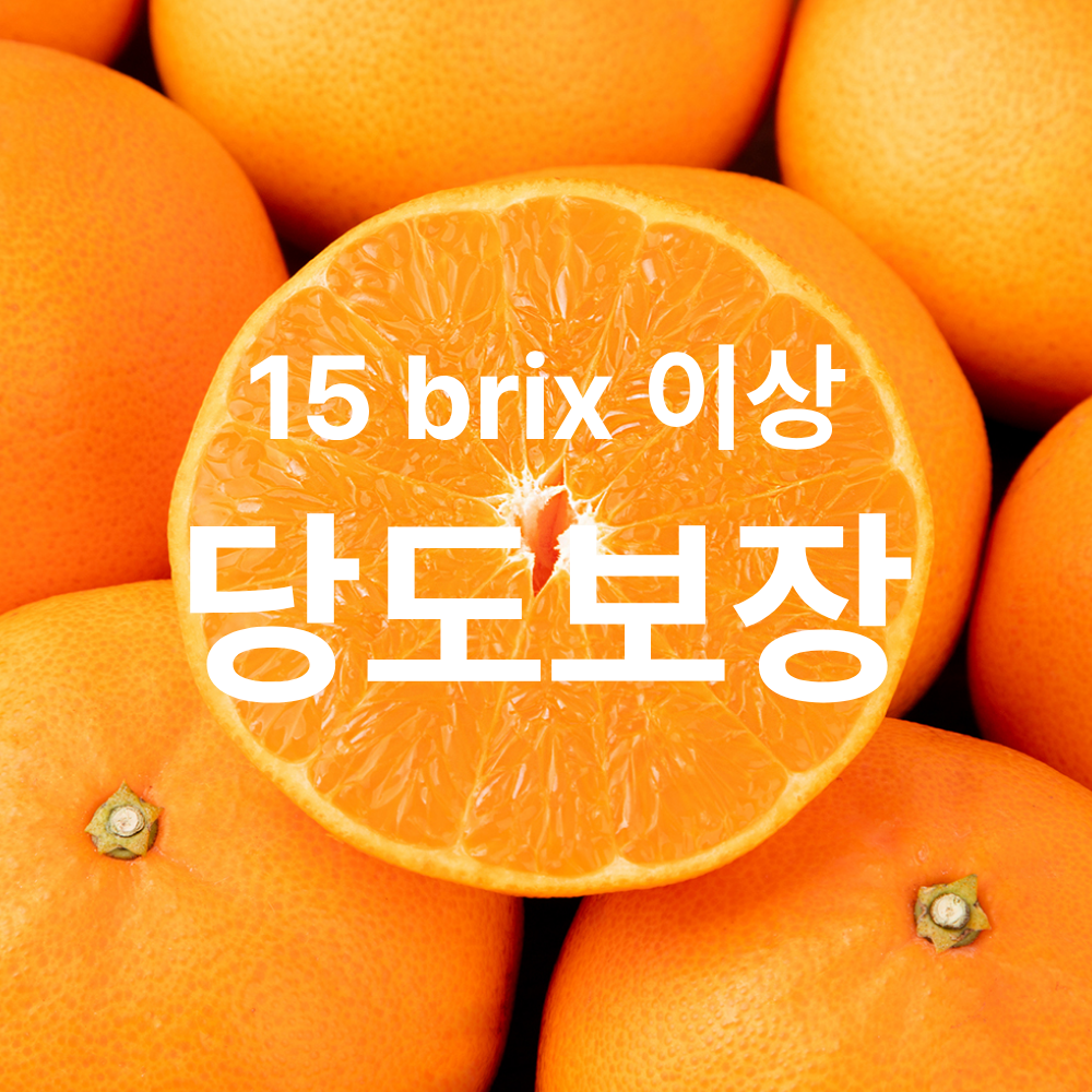 [선물세트] 명절 명품 천혜향 15brix 제주직송 과일실중량 2.5kg/4.5kg 이상