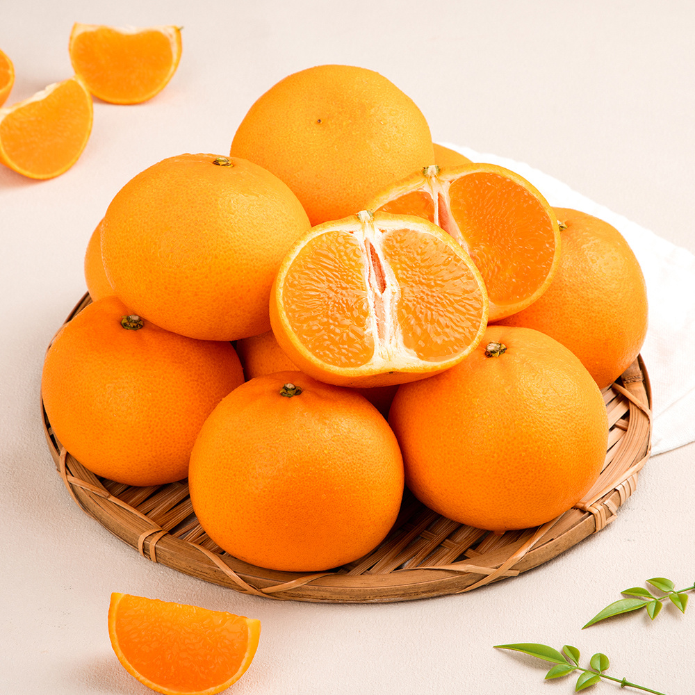 [선물세트] 명절 명품 천혜향 15brix 제주직송 과일실중량 4.5kg 이상