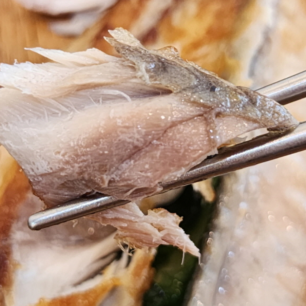 청정 제주 손질고등어 선물세트 10미 개당 100-120g