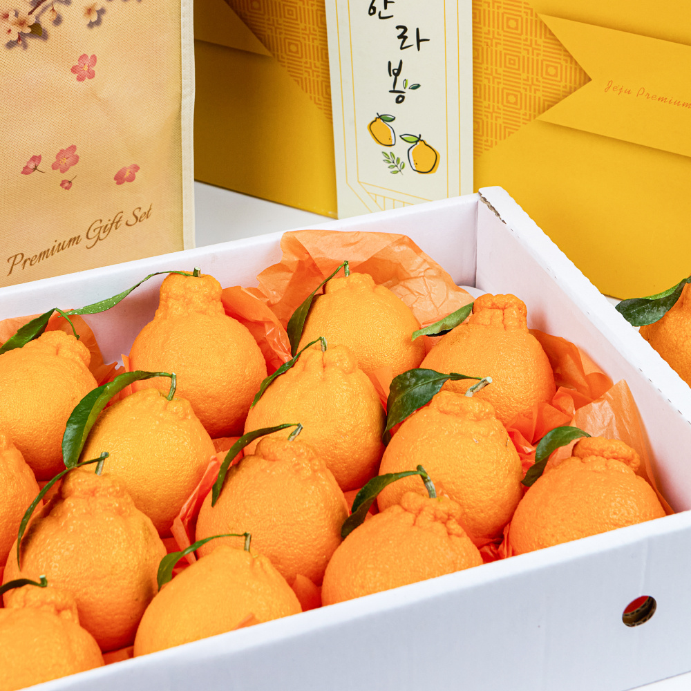 제주 명품 만감류 선물세트