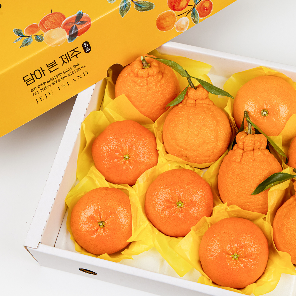 한라봉 레드향 천혜향 3종 선물세트