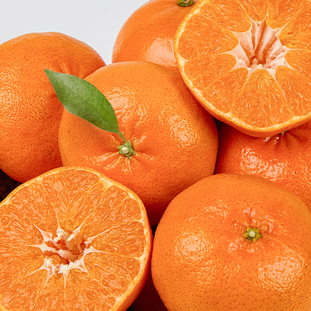 한라봉 레드향 천혜향 3종 선물세트