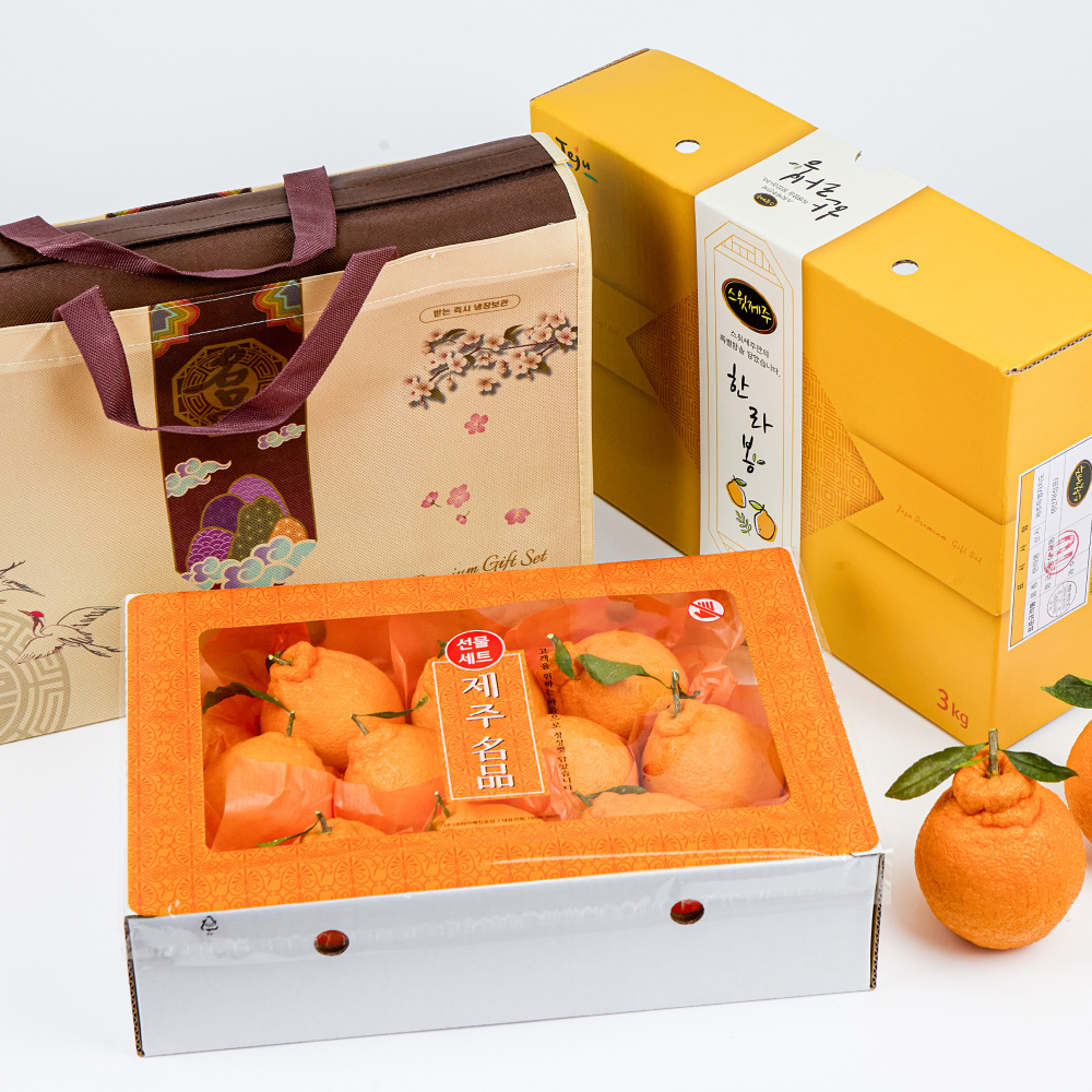 제주 한라봉 선물세트