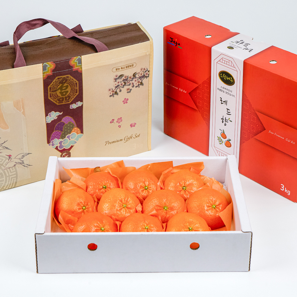 제주 레드향 선물세트