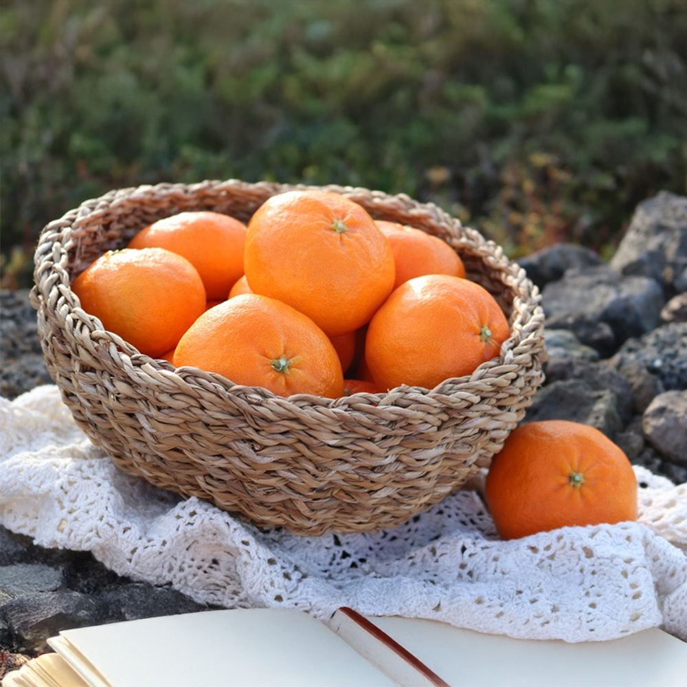 마이귤팜 레드향 3kg 외