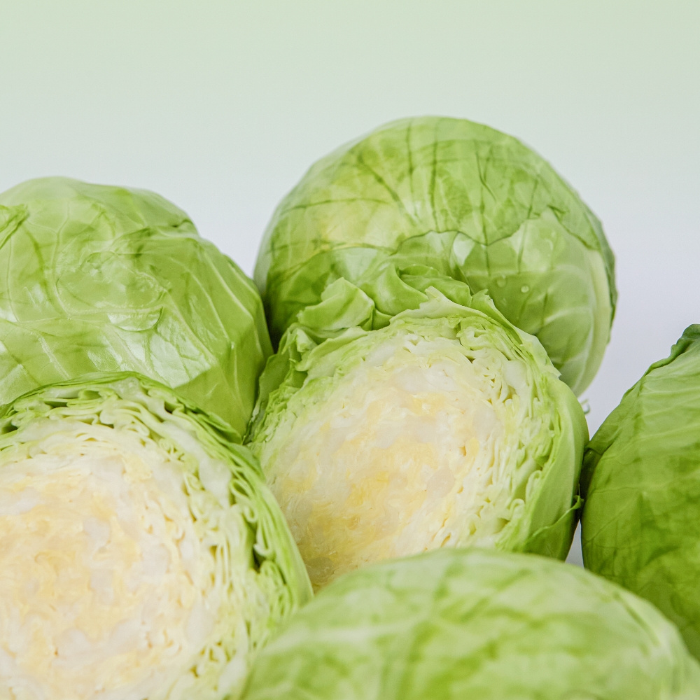 미니 양배추 달콤이 5kg