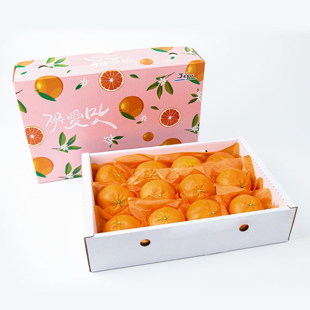 알알이 톡톡터지는 식감  제주 레드향 선물세트 3kg 외