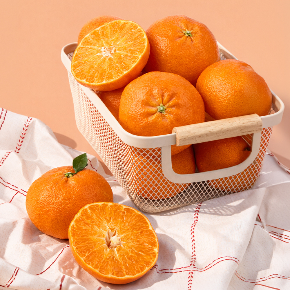 알알이 톡톡터지는 식감  제주 레드향 선물세트 3kg 외