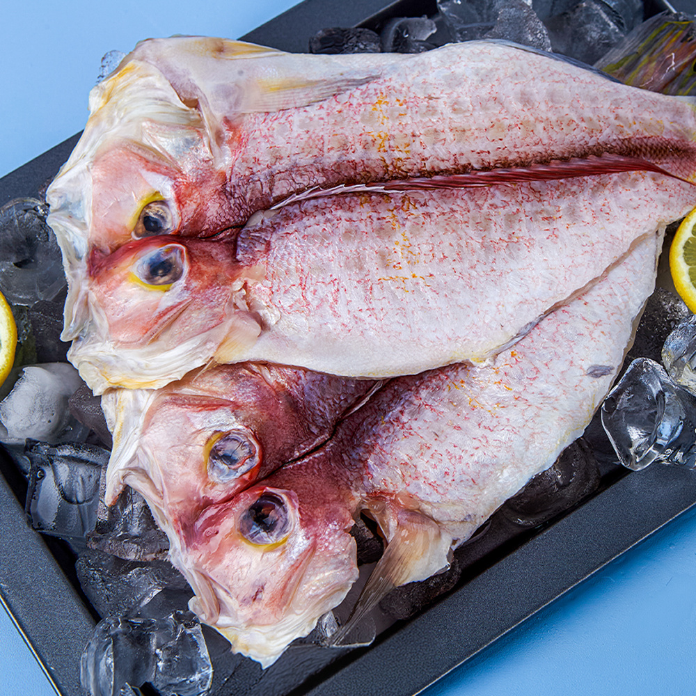 '곱닥해' 제주옥돔(소) 180g 이상 5마리