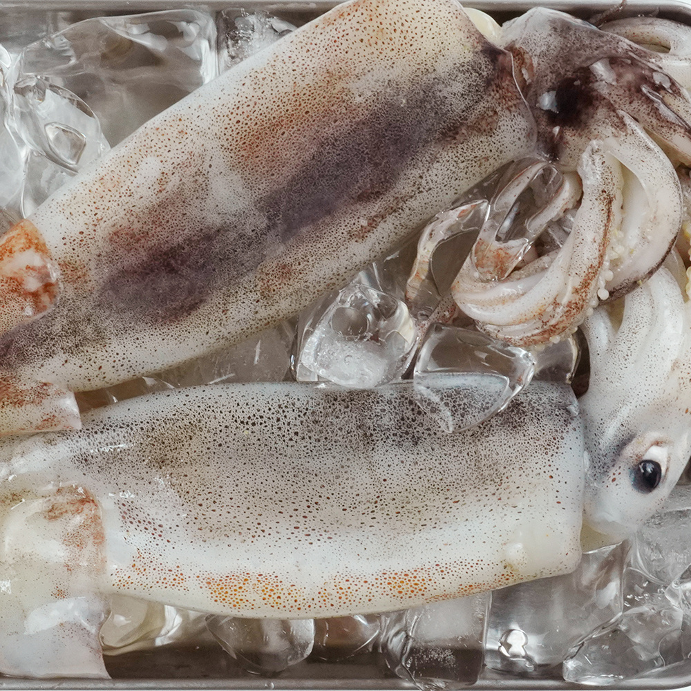 '곱닥해' 제주오징어(손질) 2.1kg 3팩(1팩=3미)