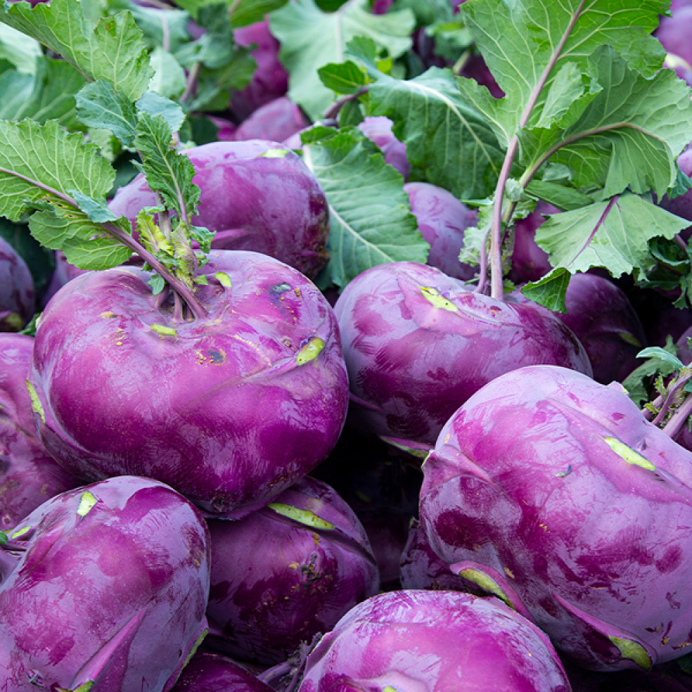 제철 채소 골라담기(당근,브로콜리,양배추,생표고,가시오이,감자,양파,가지,무우,콜라비)