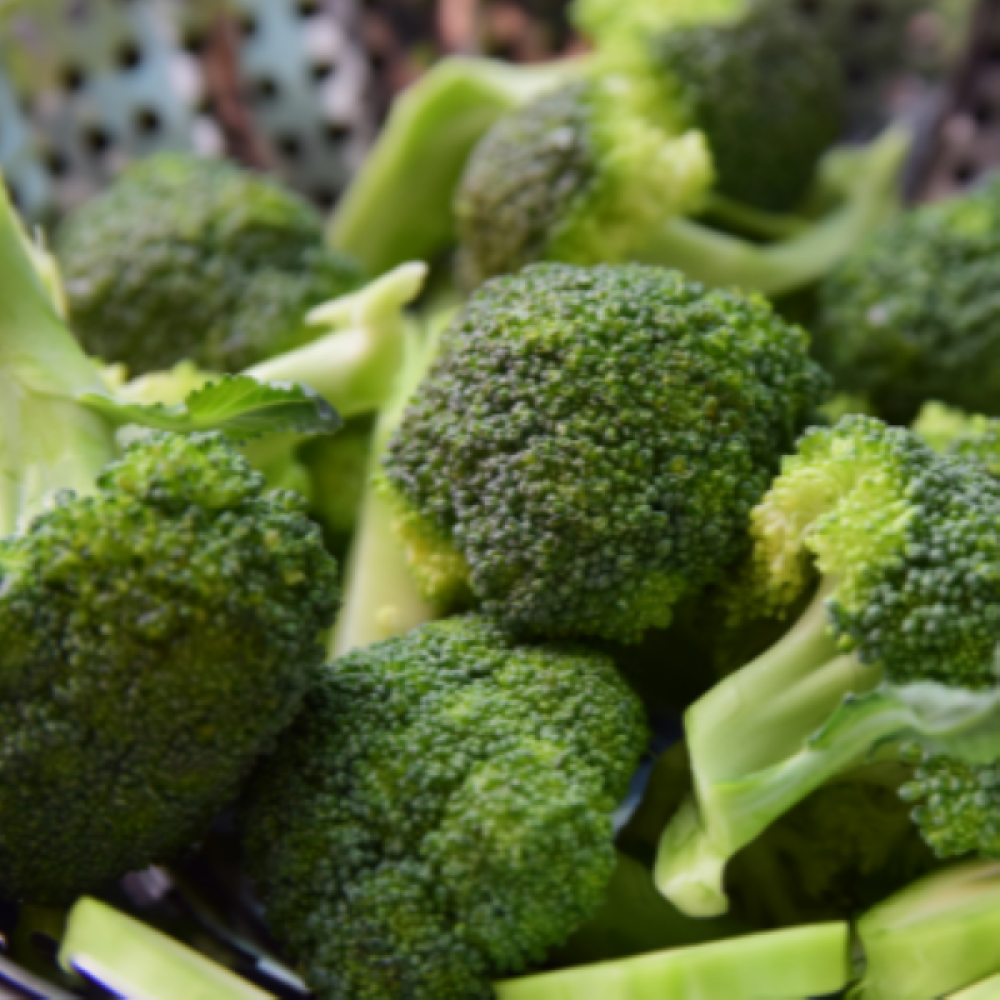 제주도 브로콜리  2kg,5kg,8kg