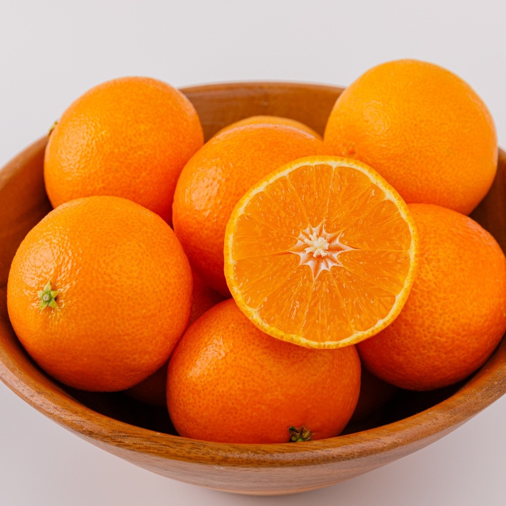 제주 천혜향 가정용 선물용 5kg 10kg