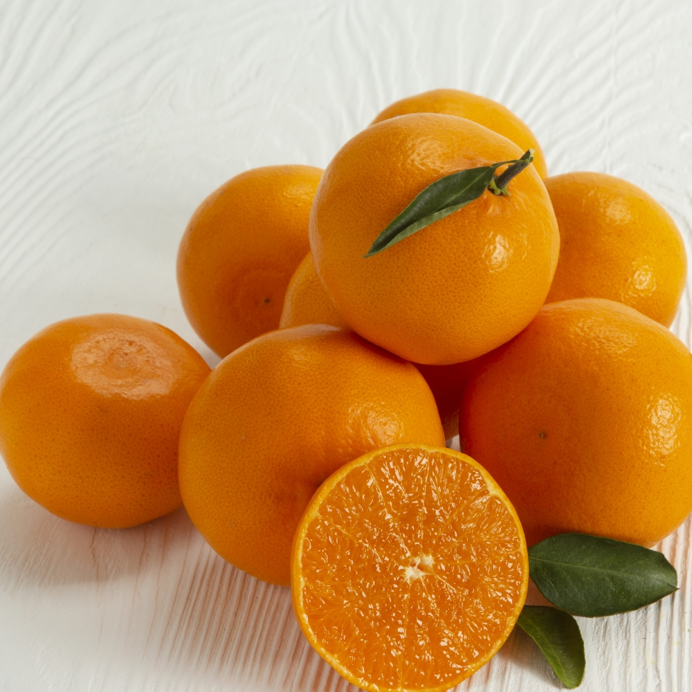 제주 천혜향 가정용 선물용 5kg 10kg