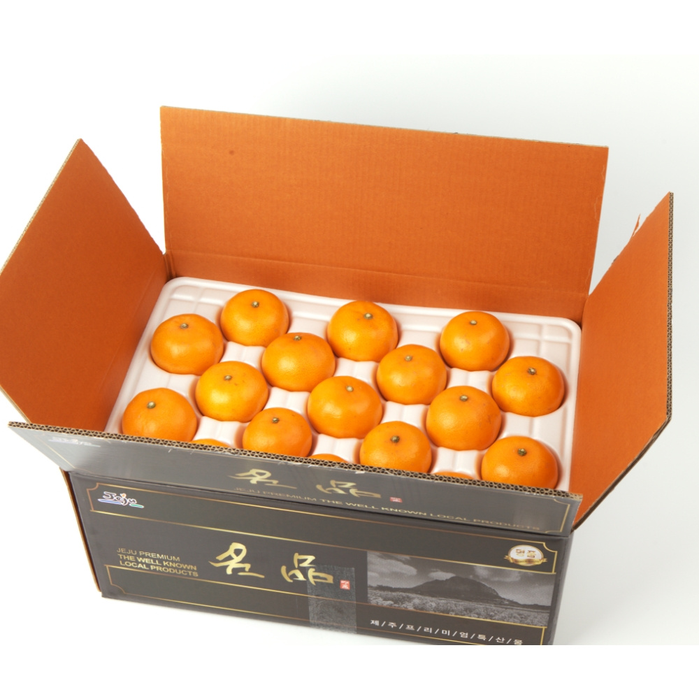 제주 천혜향 가정용 선물용 5kg 10kg