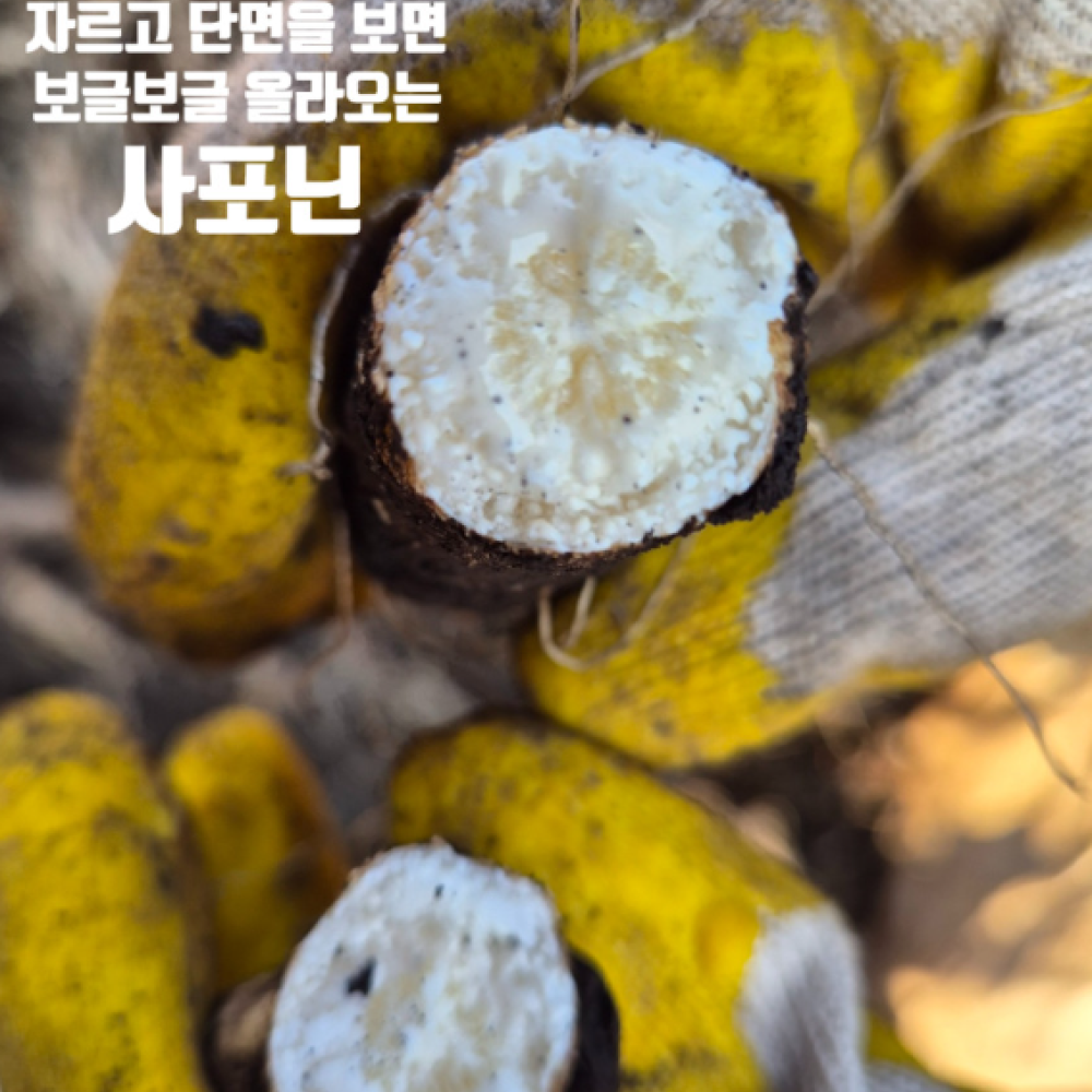 설아네꾸러미 제주 화산토 흙더덕 햇더덕 산지직송 2kg