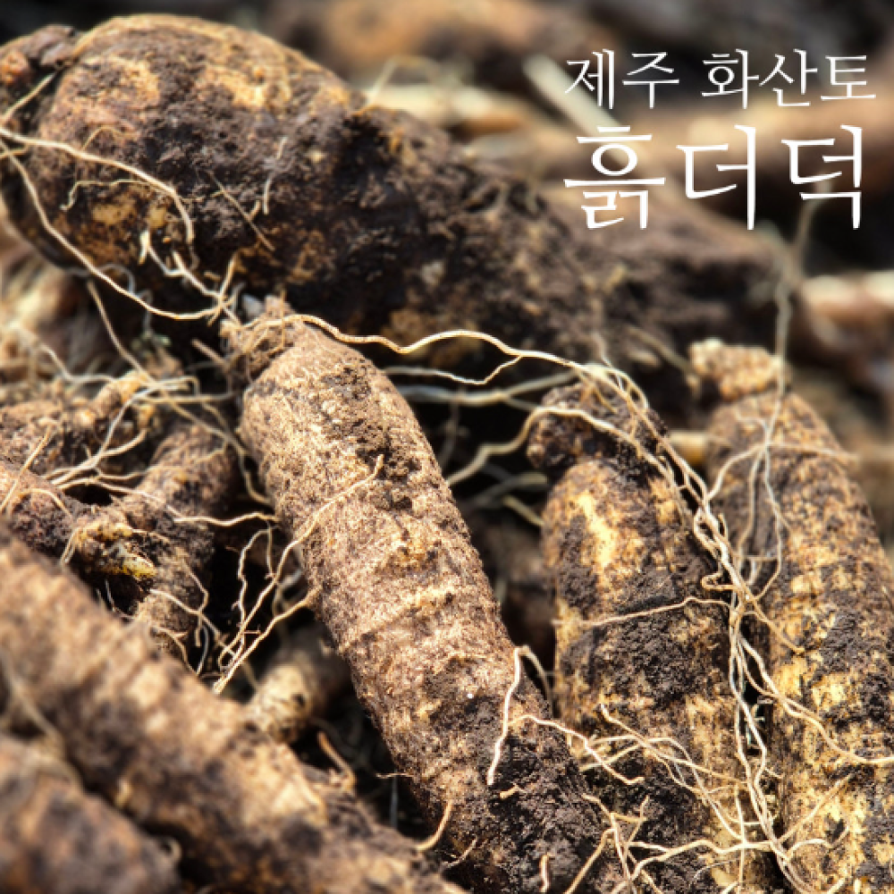 설아네꾸러미 제주 화산토 흙더덕 햇더덕 산지직송 2kg