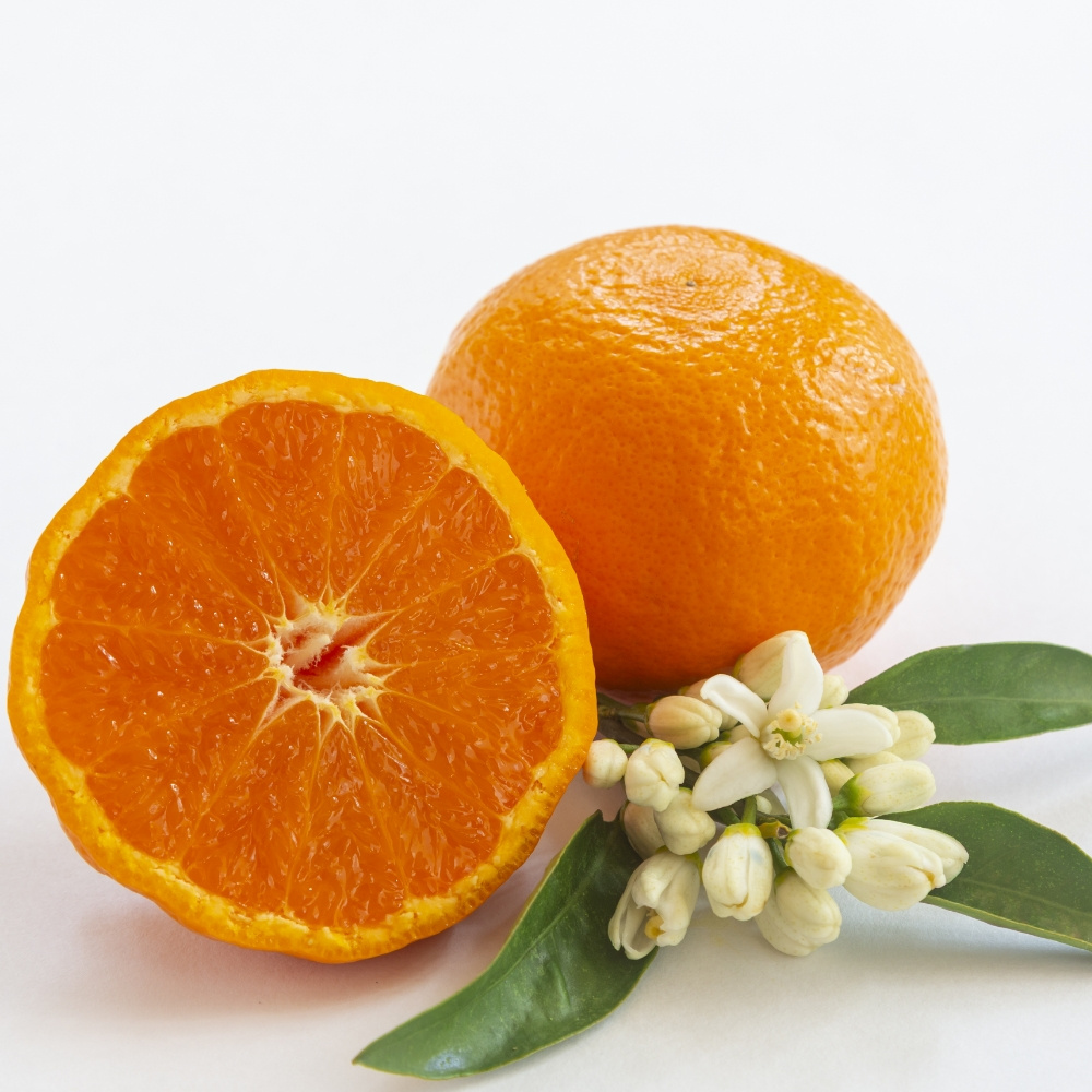 제주 카라향 가정용 실중량 4.5kg 9kg 중대과 고당도 감귤