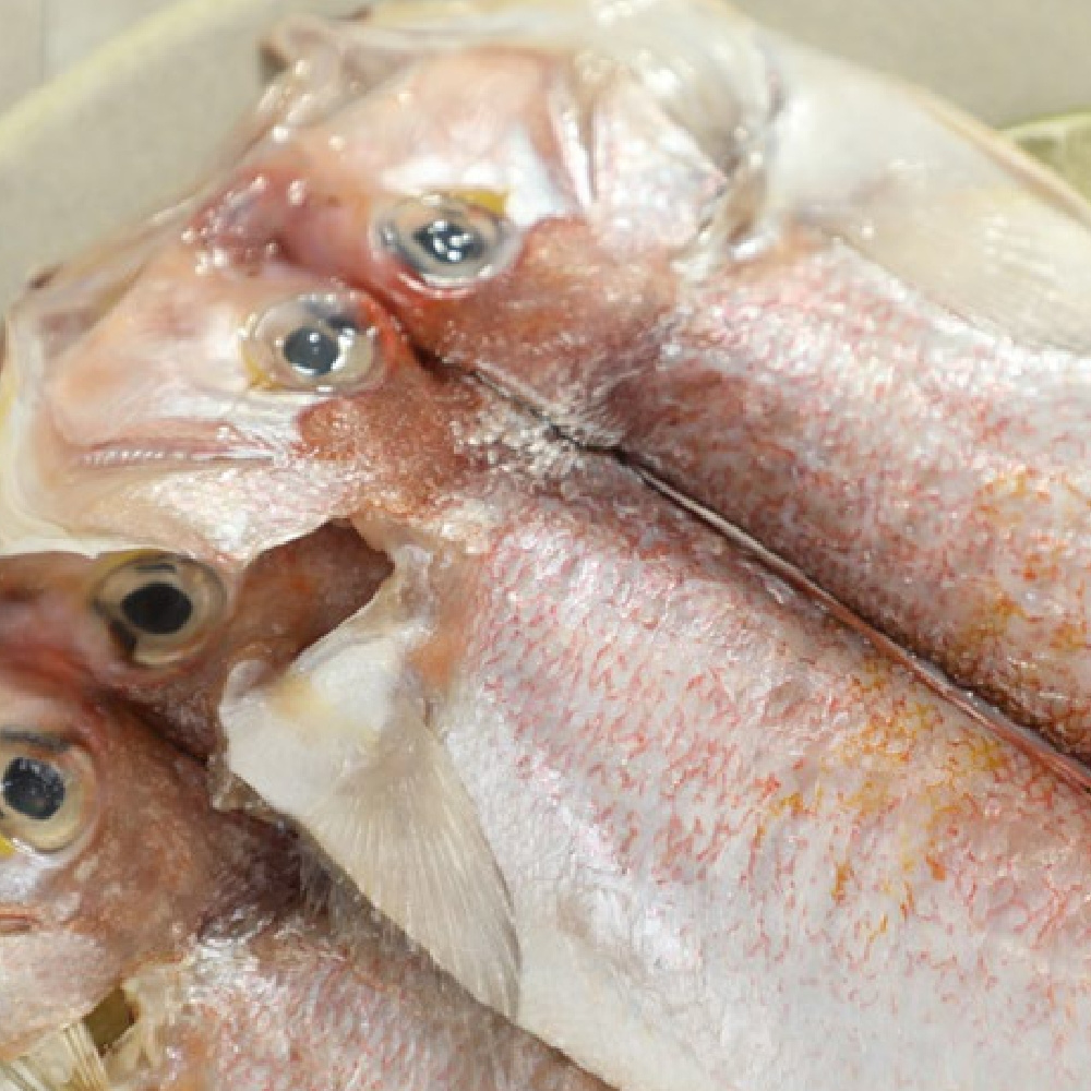 제주 갈치 옥돔 고등어 세트 혼합 생선구이 갈옥고세트