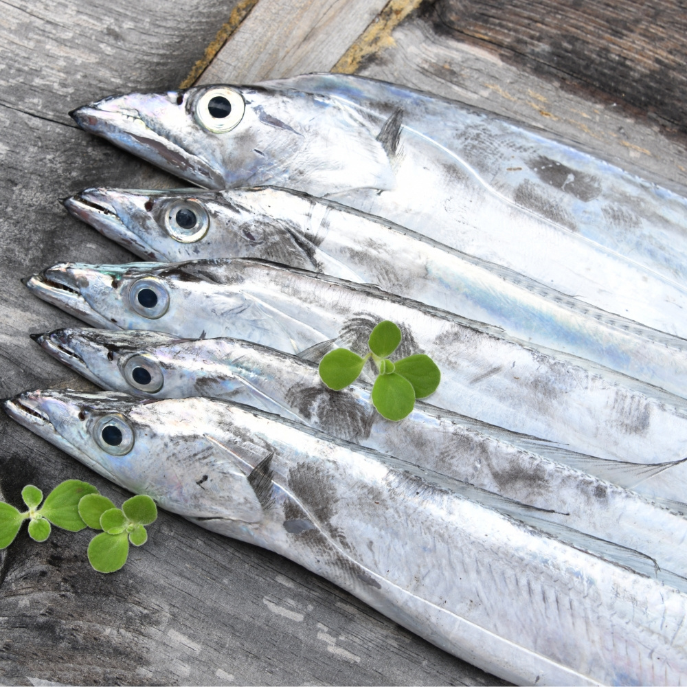 제주 갈치 옥돔 고등어 세트 혼합 생선구이 갈옥고세트