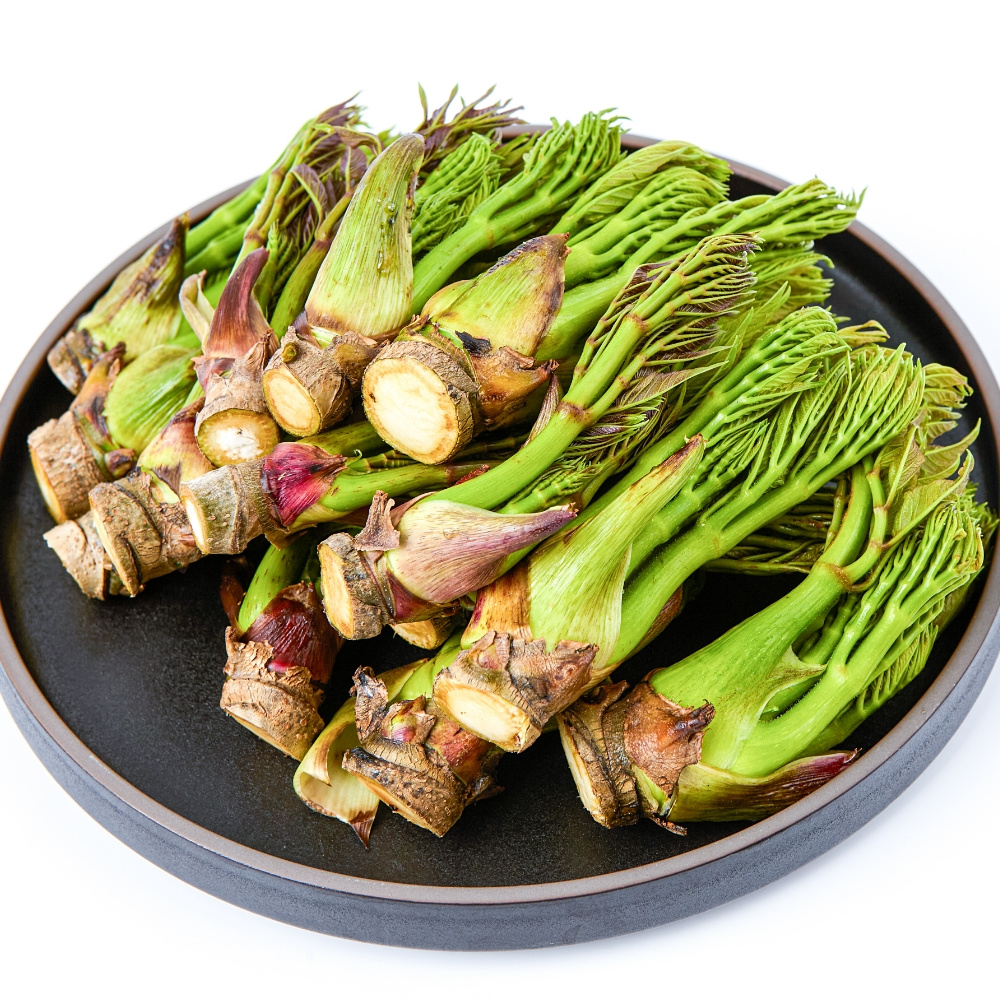 봄에 나는 대표 제철 나물 제주 참두릅 1kg