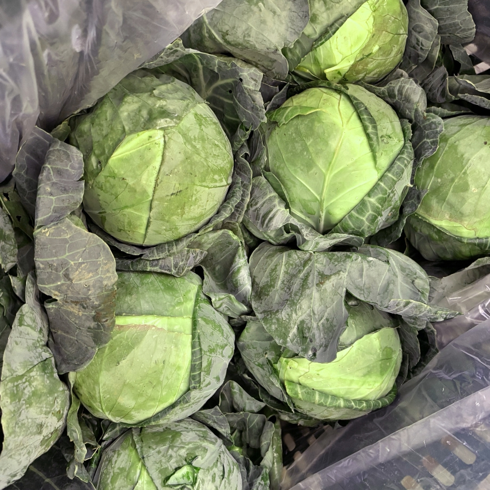 달콤이 미니 양배추 3kg,5kg