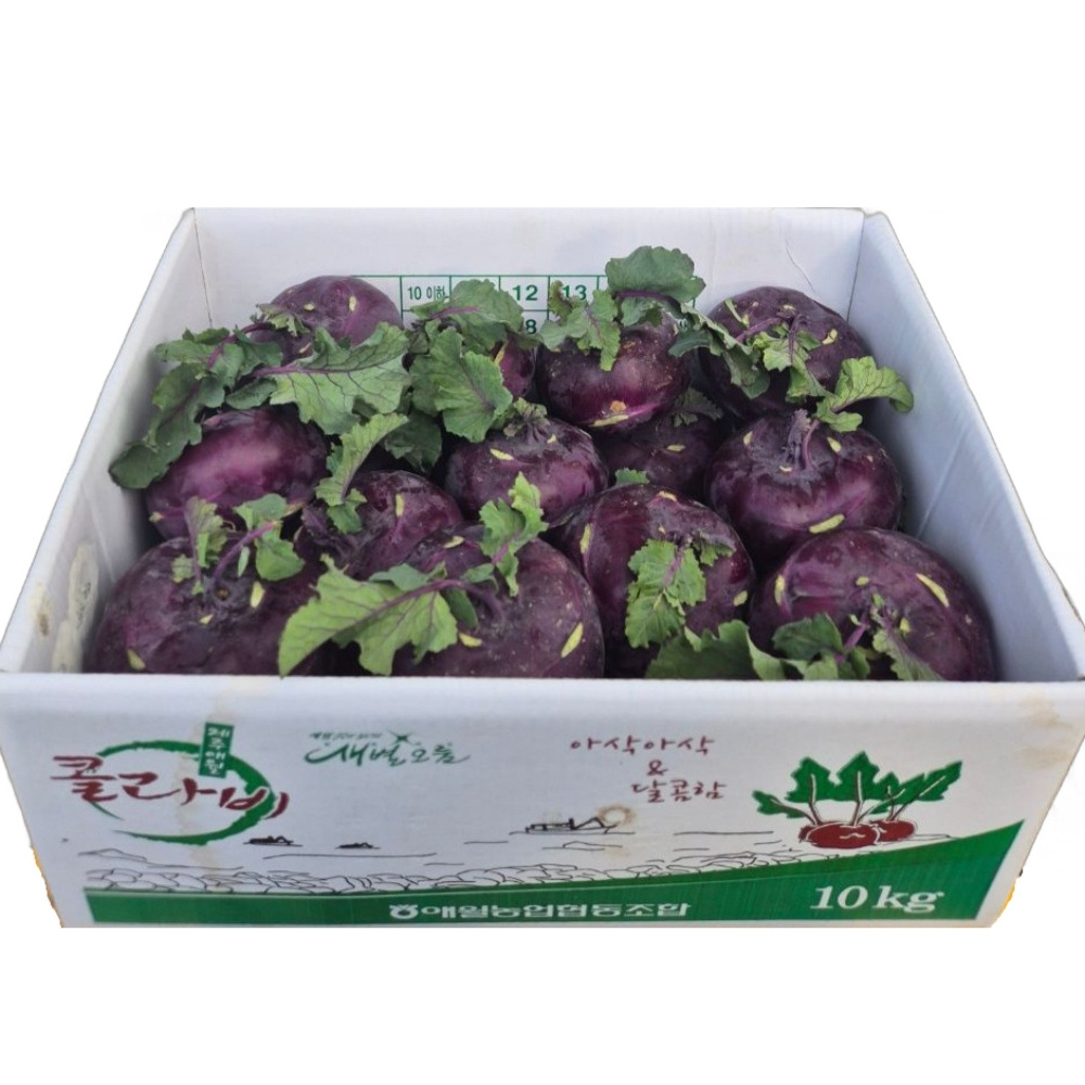 제주에서 온 아삭한 콜라비 한박스 (5kg / 10kg)