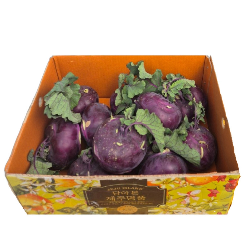 제주에서 온 아삭한 콜라비 한박스 (5kg / 10kg)