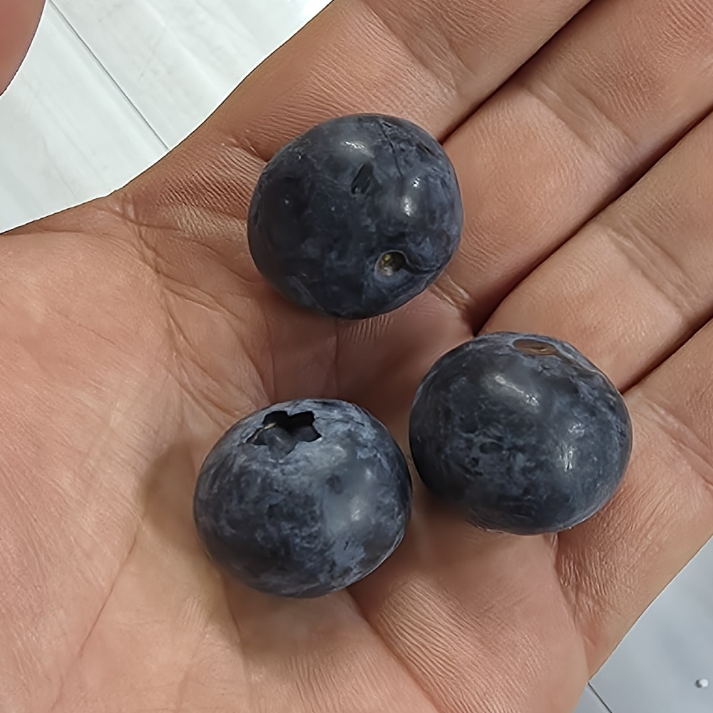 국산 블루베리 500g 300g 1kg 특 왕특 16mm 18mm