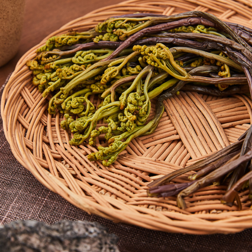 제주마미 비온 뒤 고사리 냉동 생고사리 200g 5개