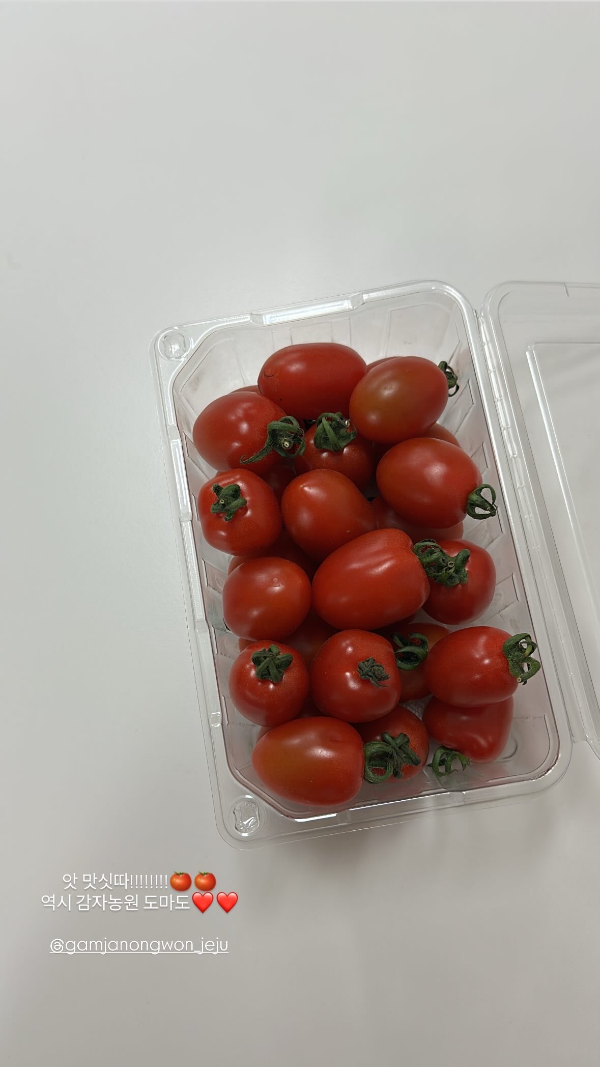 청년농부 김기범농가 첫출하 제주 방울토마토 2kg 신선 과일